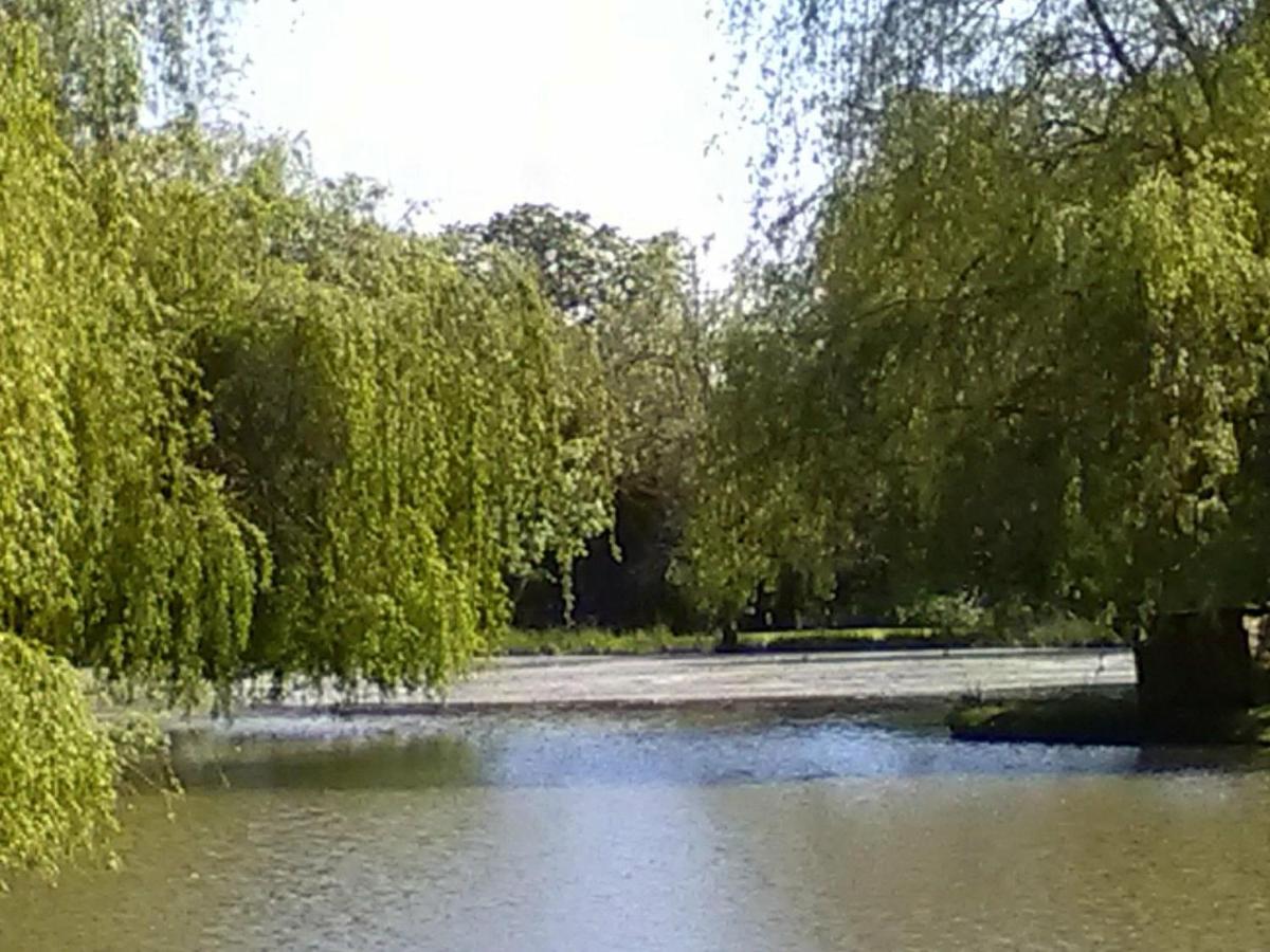 La Lune Lake Joue-en-Charnie Extérieur photo