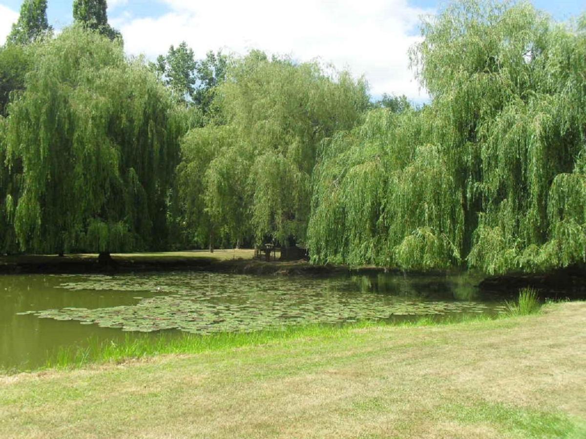 La Lune Lake Joue-en-Charnie Extérieur photo